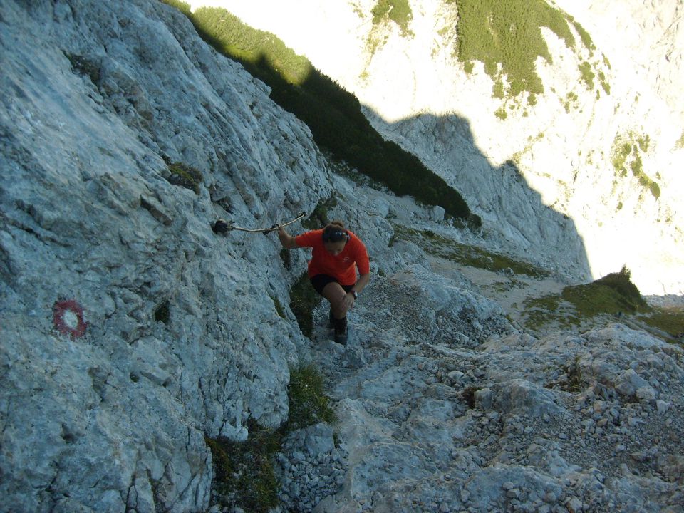 Logarska dolina - foto povečava