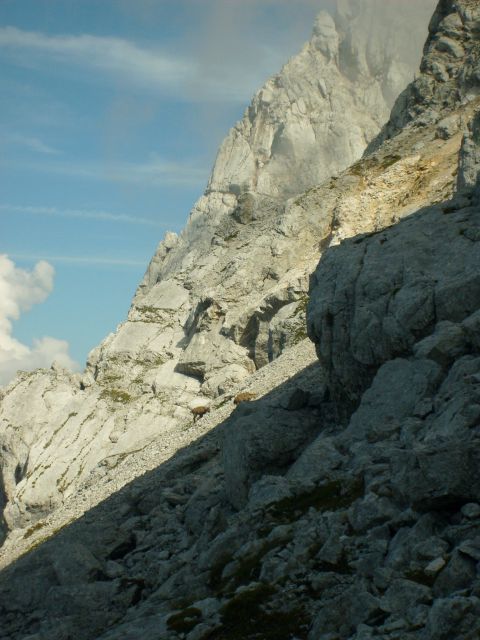 Logarska dolina - foto