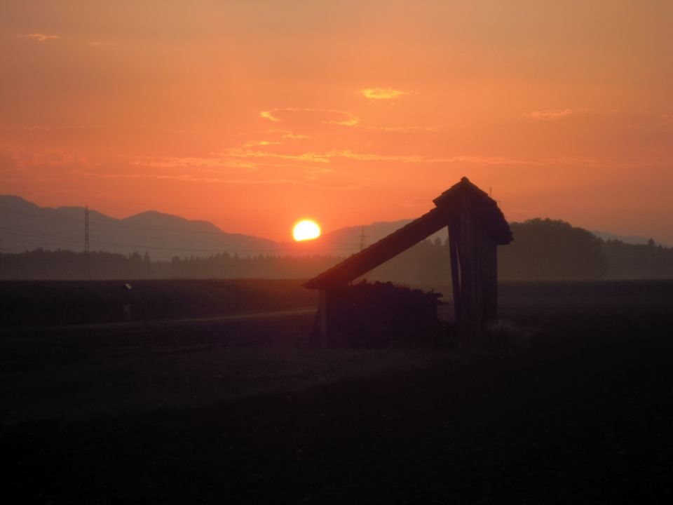 Narava - foto povečava