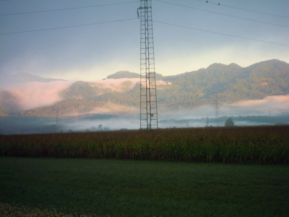 Narava - foto povečava