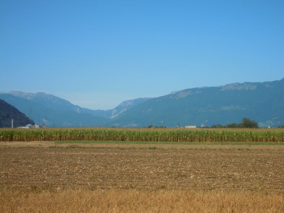 Narava - foto povečava