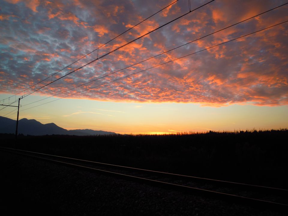 Narava - foto povečava