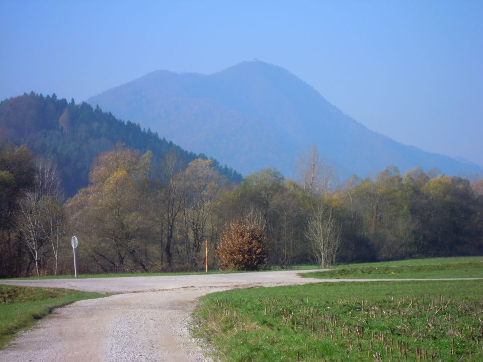 Narava - foto povečava