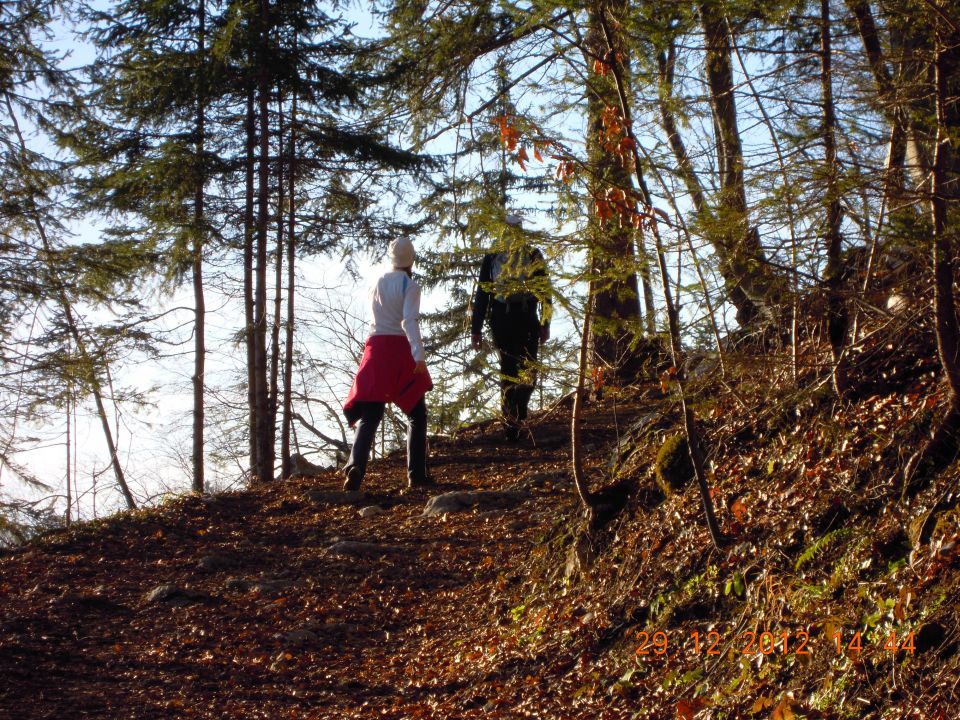 Narava - foto povečava