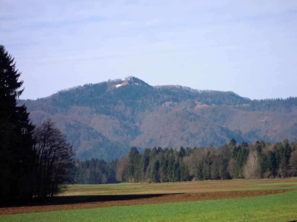 Narava - foto povečava