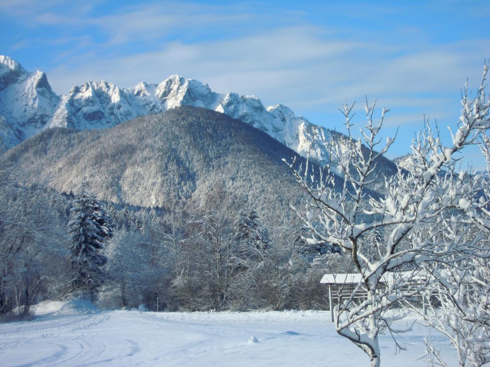 šport 2013 - foto povečava