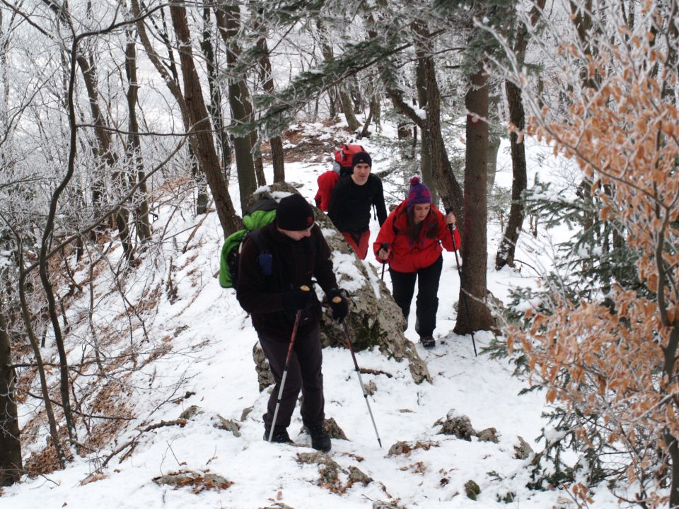 Kriška gora jan. 2013 - foto povečava