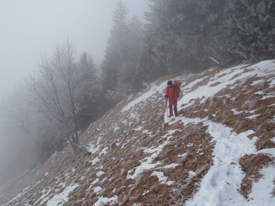 Kriška gora jan. 2013 - foto povečava