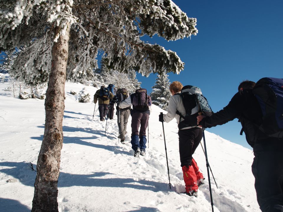 Kriška gora jan. 2013 - foto povečava