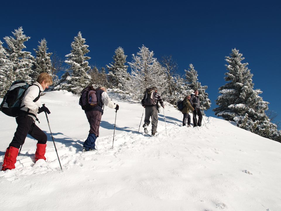 Kriška gora jan. 2013 - foto povečava