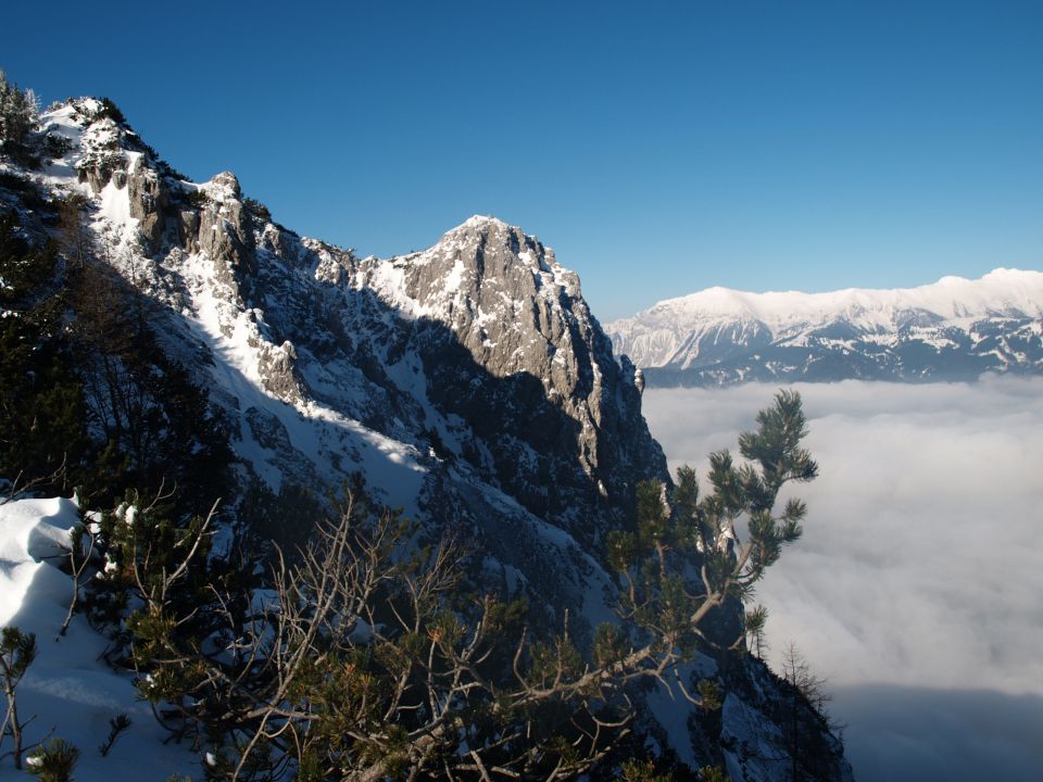 Kriška gora jan. 2013 - foto povečava