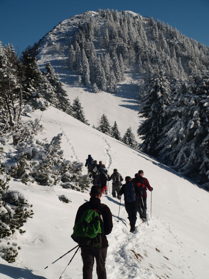 Kriška gora jan. 2013 - foto povečava