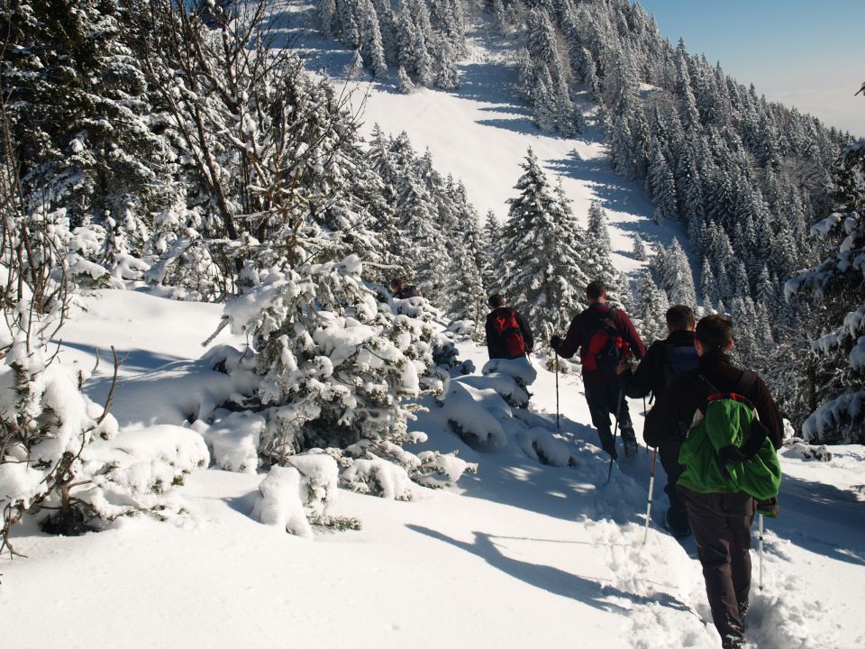 Kriška gora jan. 2013 - foto povečava