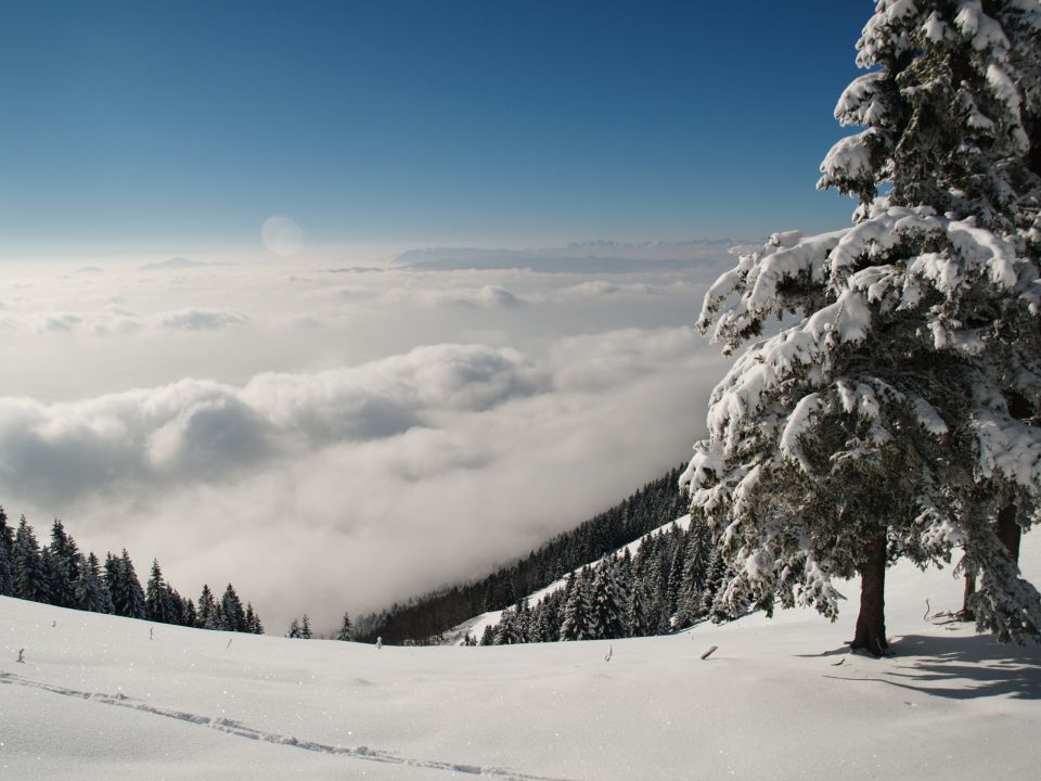 Kriška gora jan. 2013 - foto povečava