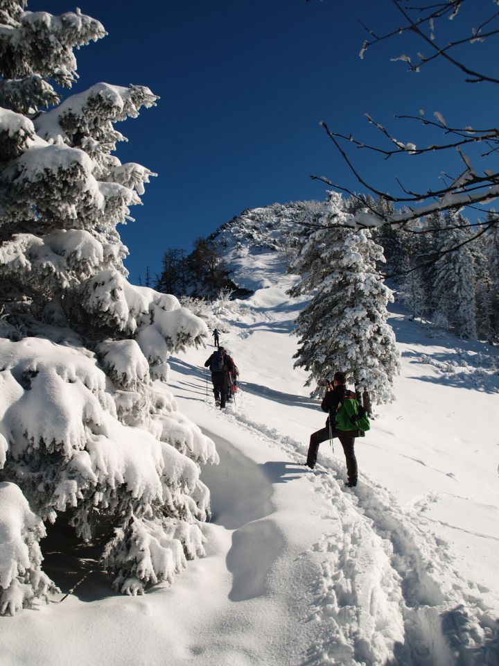 Kriška gora jan. 2013 - foto povečava