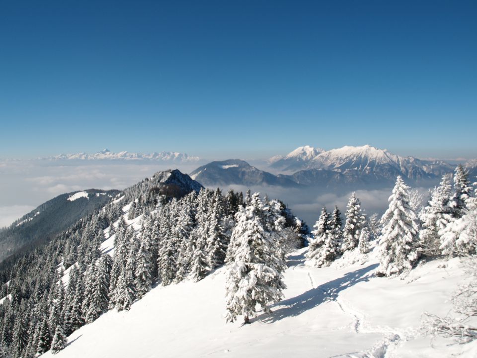 Kriška gora jan. 2013 - foto povečava