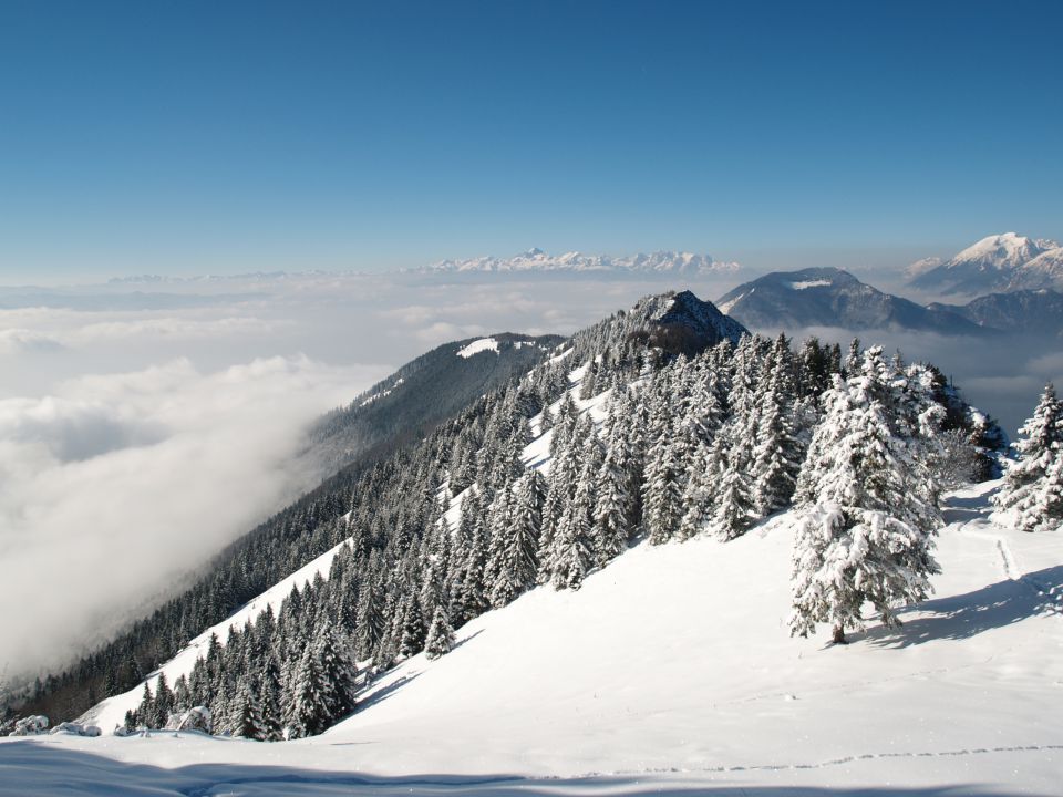 Kriška gora jan. 2013 - foto povečava