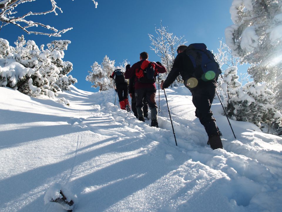 Kriška gora jan. 2013 - foto povečava