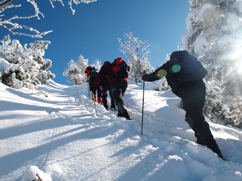 Kriška gora jan. 2013 - foto povečava