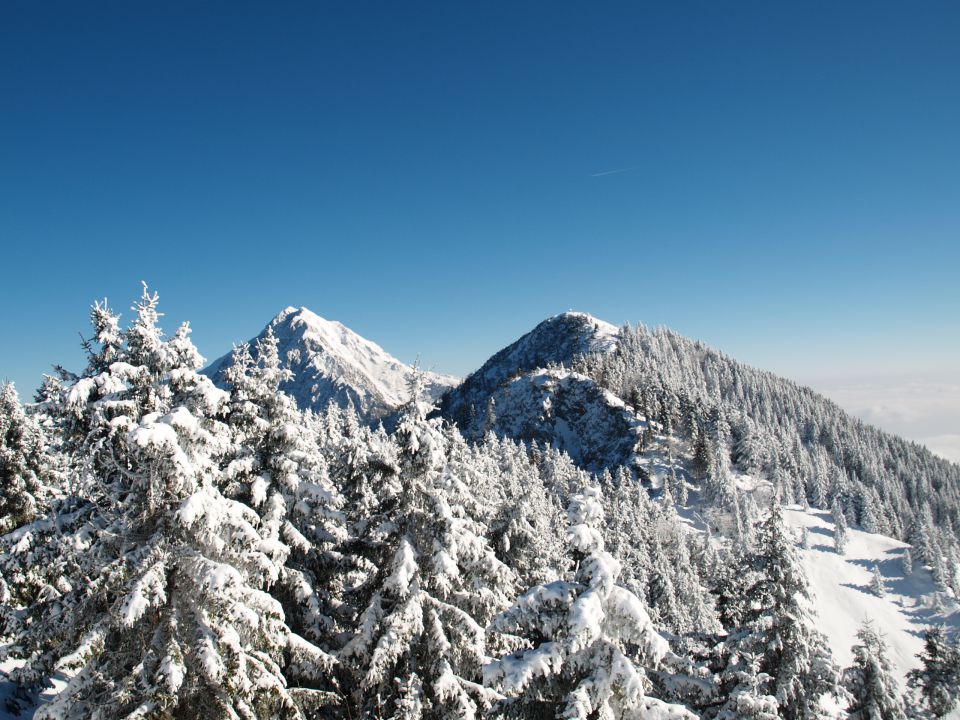 Kriška gora jan. 2013 - foto povečava