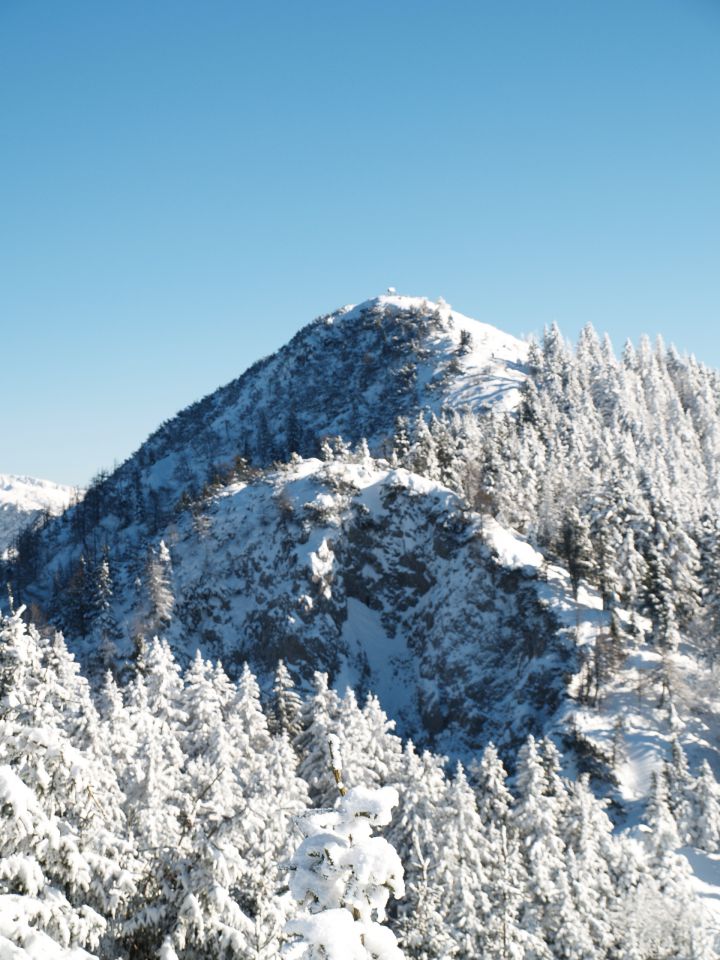 Kriška gora jan. 2013 - foto povečava