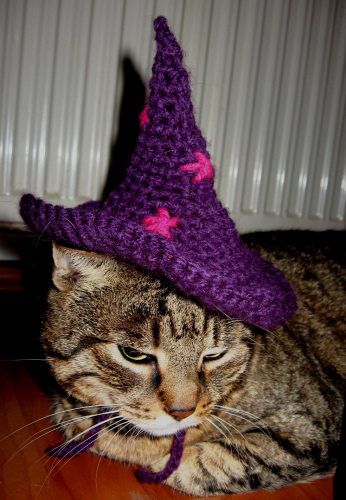 Oktober 2015 - foto povečava