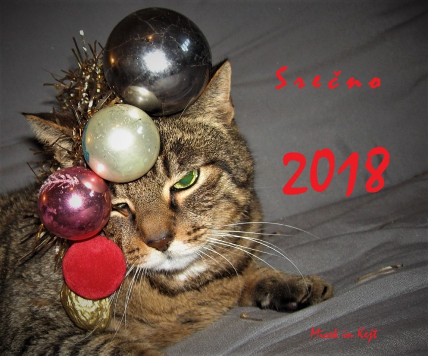 December 2017 - foto povečava