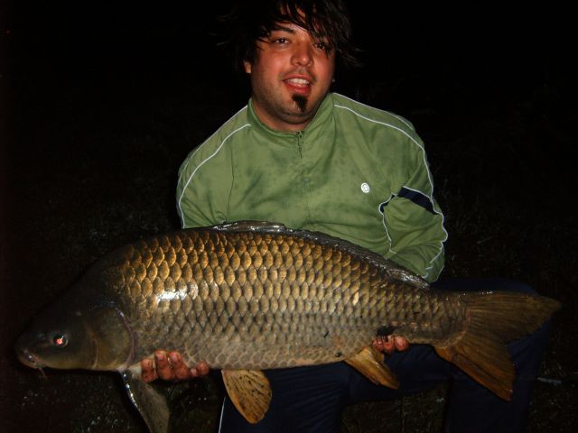 Dream Lake Mitja 16 kg 2010