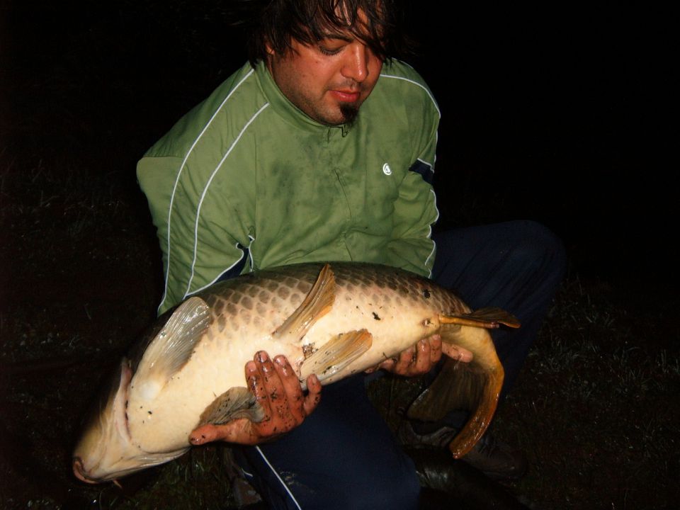 Dream Lake Mitja 16 kg 2010