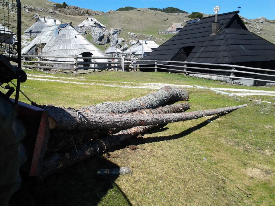 Velika planina 27 in 28.4.2012 - foto povečava