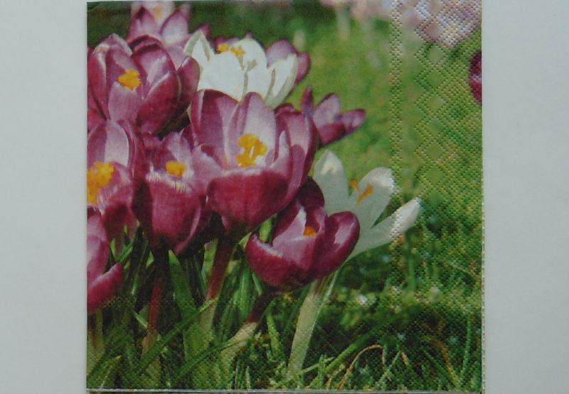 Servetki - rože - foto povečava