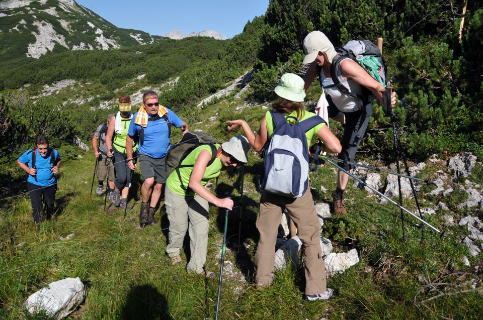 Korošica - foto povečava