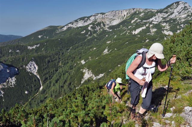 Korošica - foto