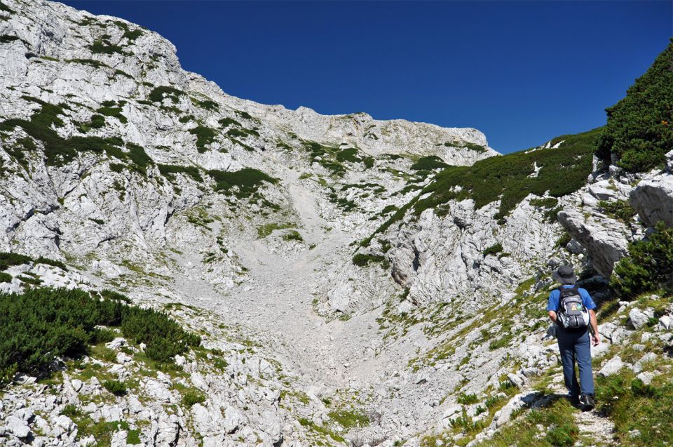 Korošica - foto povečava