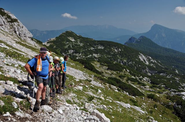 Korošica - foto