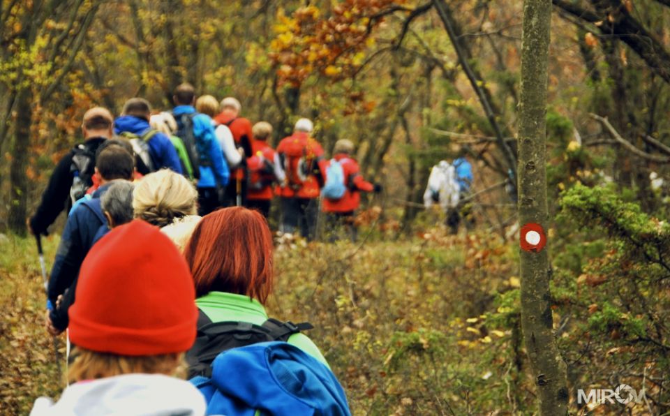 Kokoš in Vilenica - foto povečava