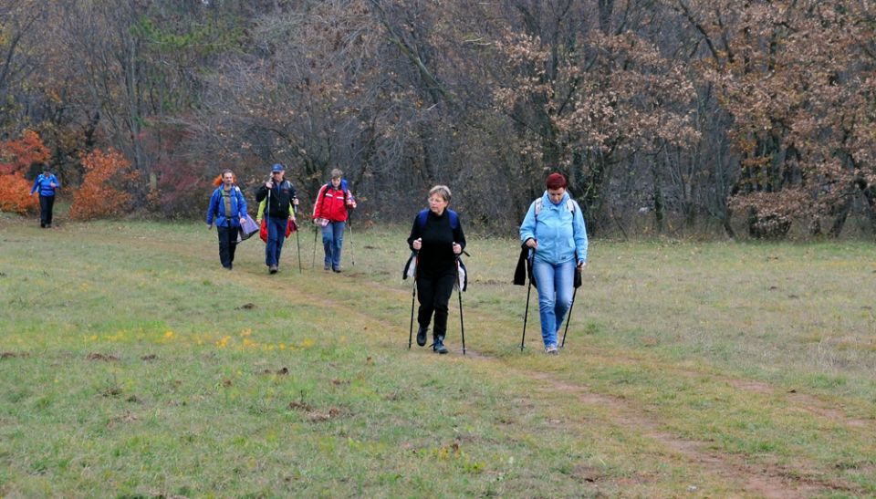 Kokoš in Vilenica - foto povečava