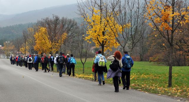 Kokoš in Vilenica - foto