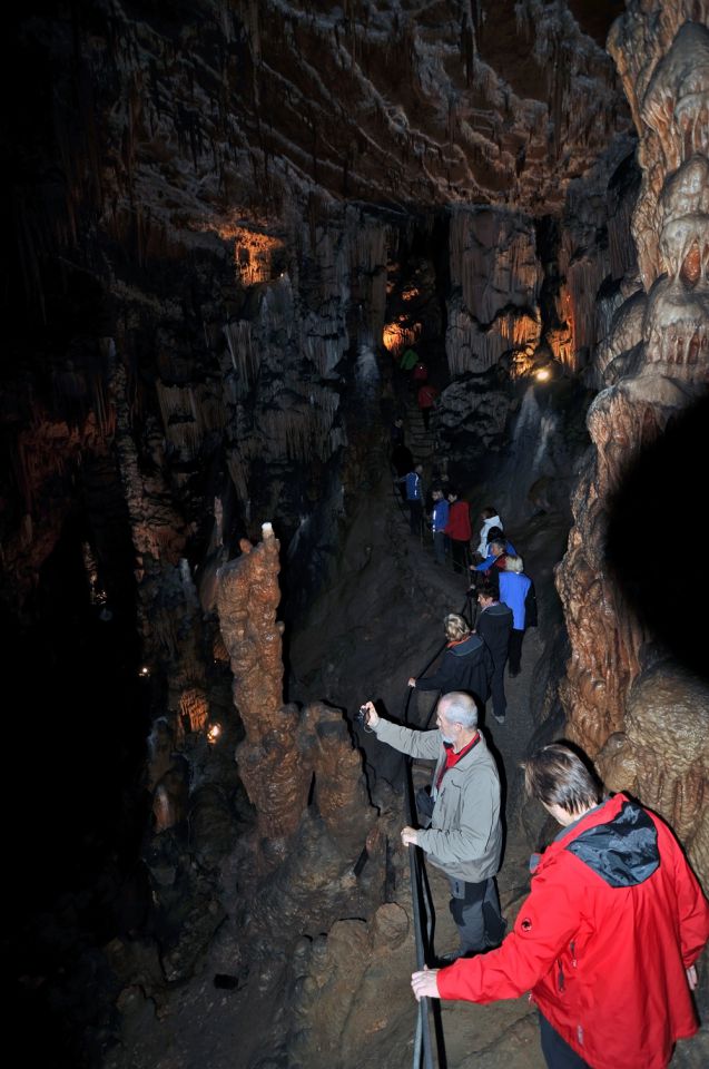 Kokoš in Vilenica - foto povečava