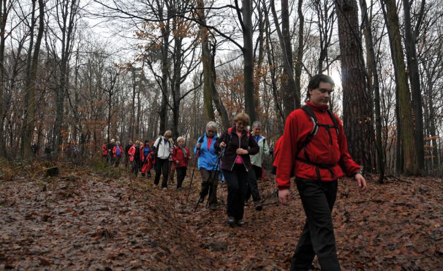 Pohod ob koncu leta 2012 prvi del - foto