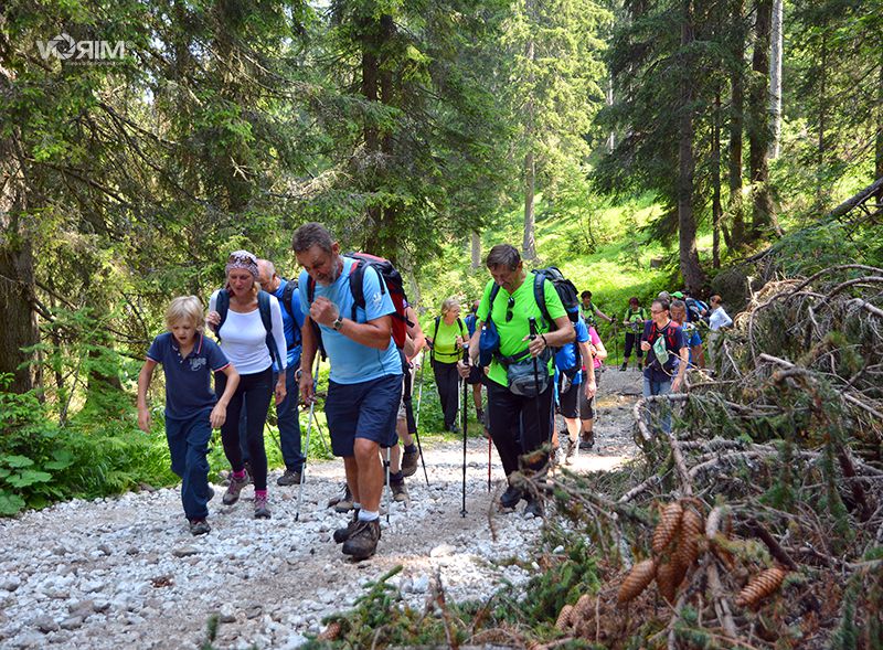 Sv, Višarje - foto povečava