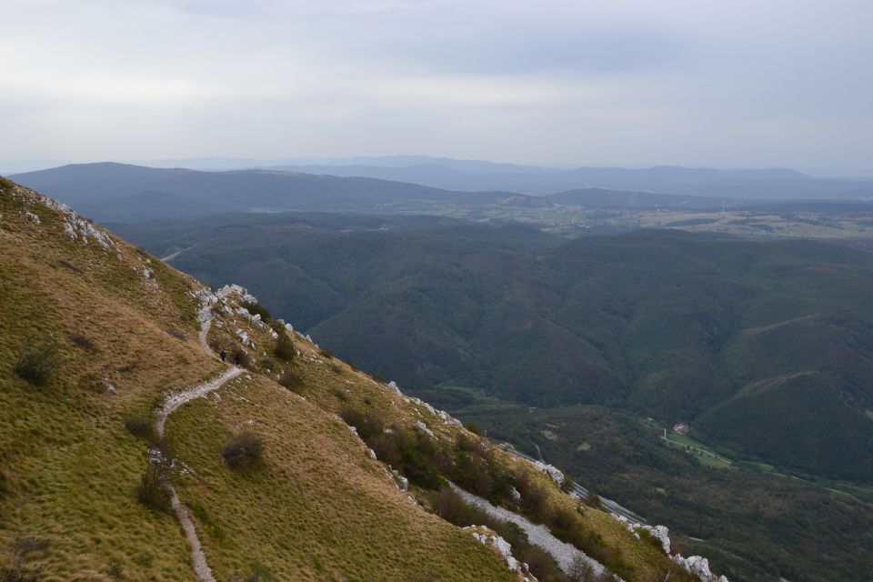 Nanos - foto povečava