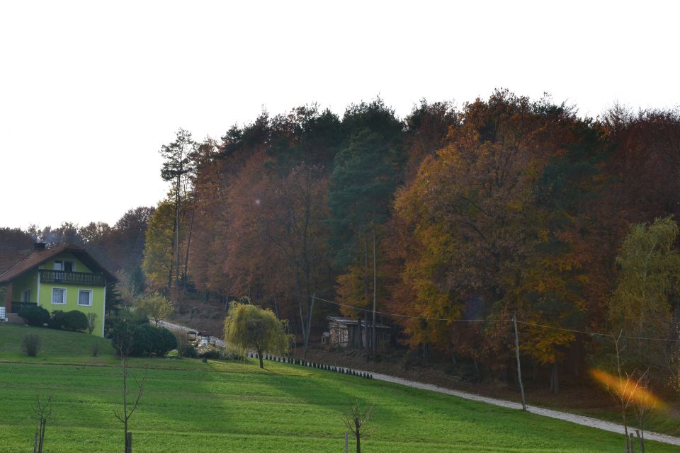 Mala Nedelja - foto povečava