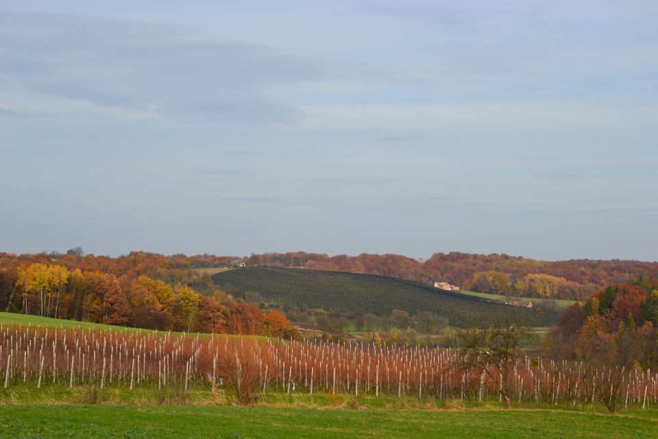 Mala Nedelja - foto povečava