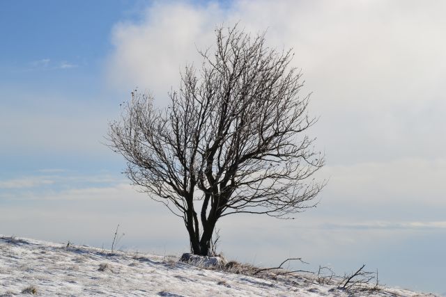 Slavnik - foto