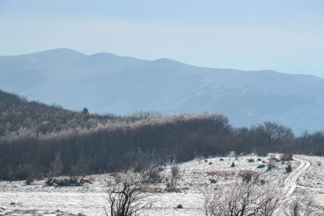 Slavnik - foto