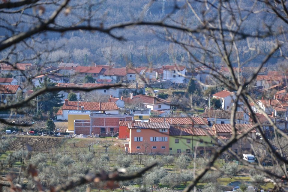 Dekani - foto povečava