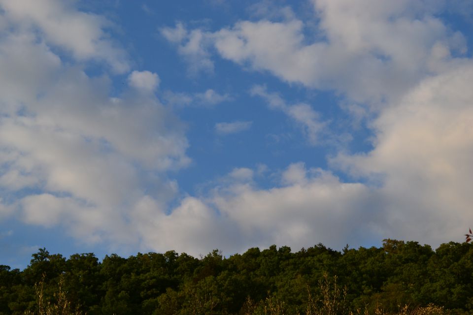 Dekani - foto povečava