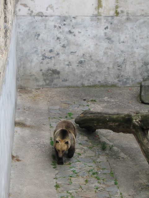 Gradovi Češke - foto