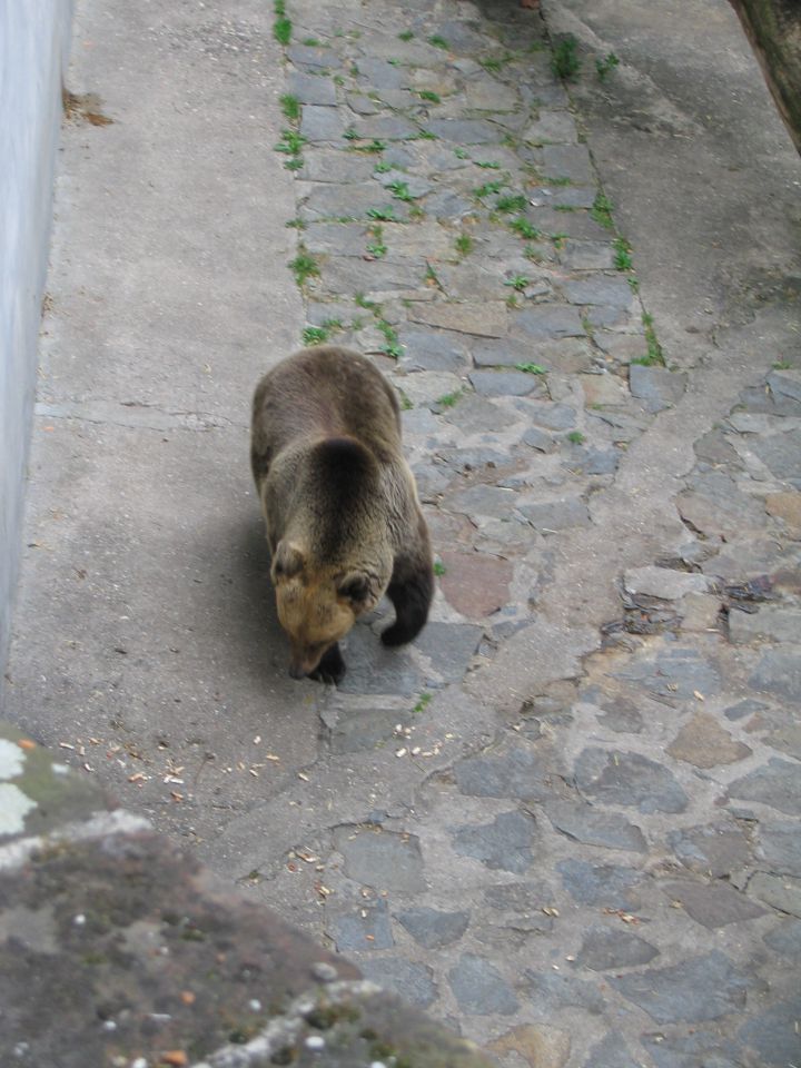 Gradovi Češke - foto povečava